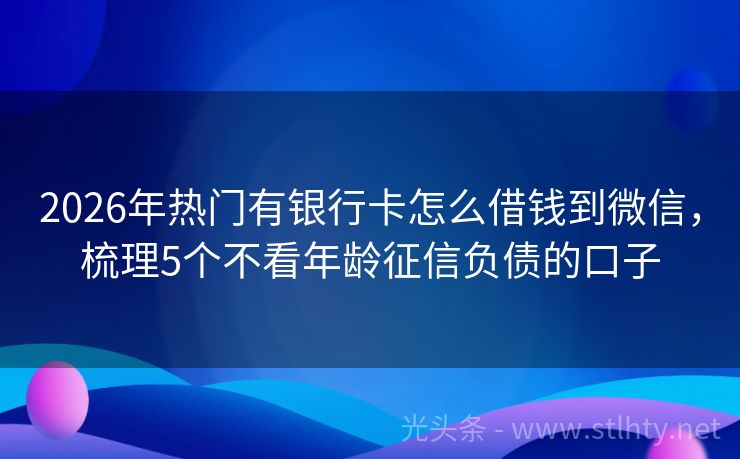 2026年热门有银行卡怎么借钱到微信，梳理5个不看年龄征信负债的口子