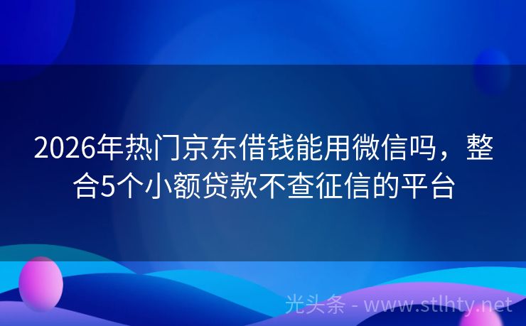 2026年热门京东借钱能用微信吗，整合5个小额贷款不查征信的平台