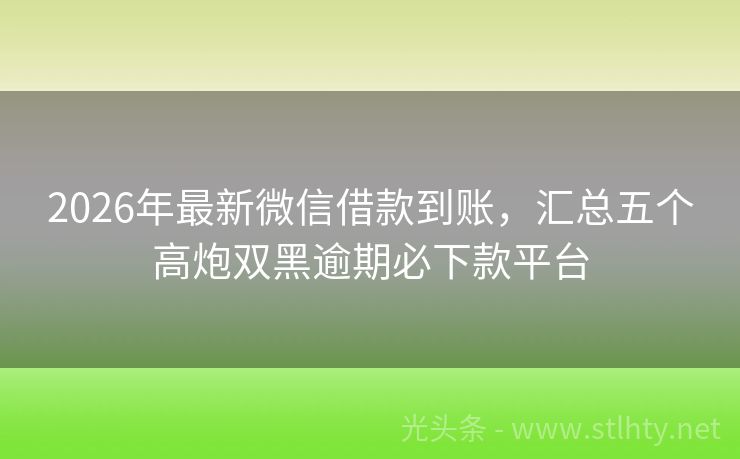 2026年最新微信借款到账，汇总五个高炮双黑逾期必下款平台