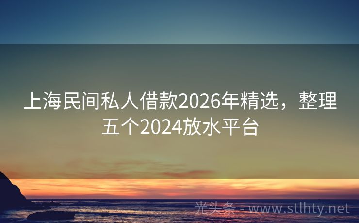 上海民间私人借款2026年精选，整理五个2024放水平台