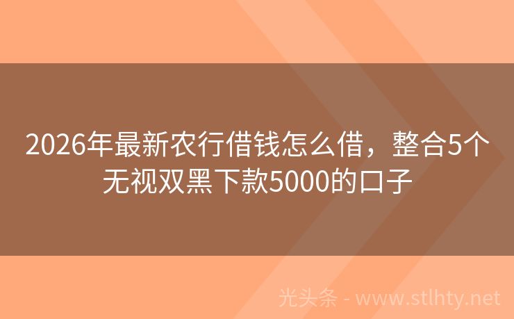 2026年最新农行借钱怎么借，整合5个无视双黑下款5000的口子