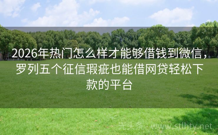2026年热门怎么样才能够借钱到微信，罗列五个征信瑕疵也能借网贷轻松下款的平台