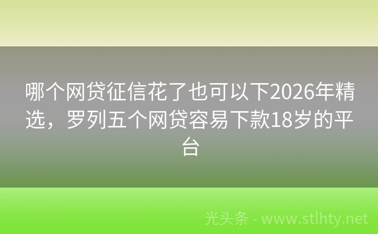 哪个网贷征信花了也可以下2026年精选，罗列五个网贷容易下款18岁的平台