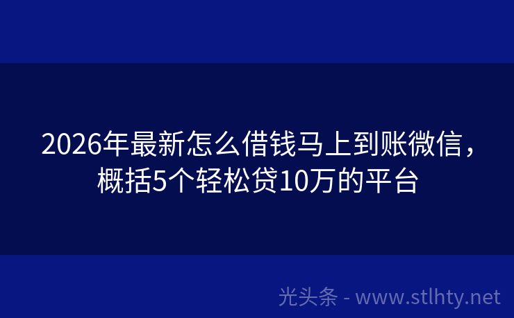 2026年最新怎么借钱马上到账微信，概括5个轻松贷10万的平台