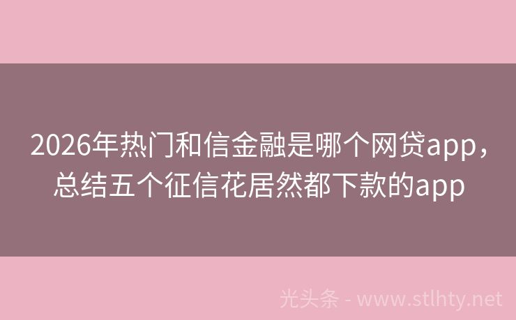 2026年热门和信金融是哪个网贷app，总结五个征信花居然都下款的app