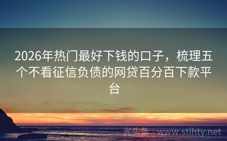 2026年热门最好下钱的口子，梳理五个不看征信负债的网贷百分百下款平台