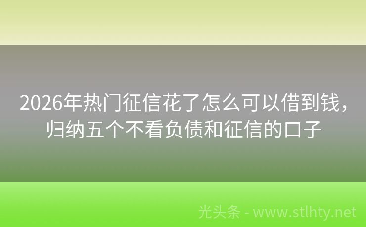2026年热门征信花了怎么可以借到钱，归纳五个不看负债和征信的口子