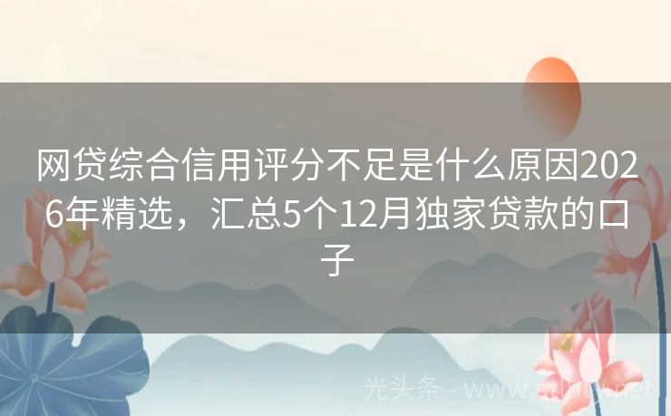 网贷综合信用评分不足是什么原因2026年精选，汇总5个12月独家贷款的口子