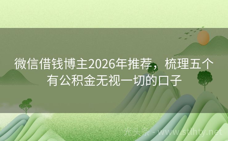 微信借钱博主2026年推荐，梳理五个有公积金无视一切的口子