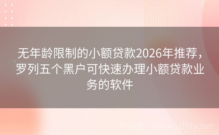 无年龄限制的小额贷款2026年推荐，罗列五个黑户可快速办理小额贷款业务的软件