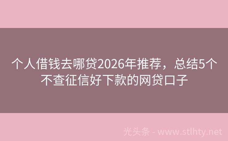 个人借钱去哪贷2026年推荐，总结5个不查征信好下款的网贷口子