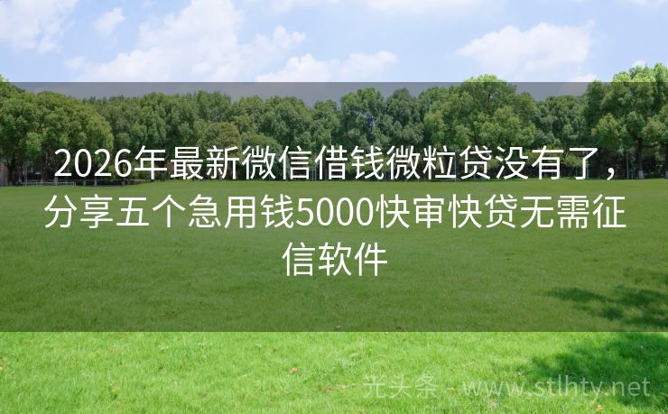 2026年最新微信借钱微粒贷没有了，分享五个急用钱5000快审快贷无需征信软件