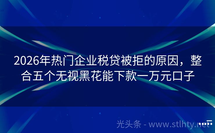 2026年热门企业税贷被拒的原因，整合五个无视黑花能下款一万元口子