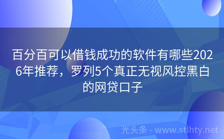 百分百可以借钱成功的软件有哪些2026年推荐，罗列5个真正无视风控黑白的网贷口子