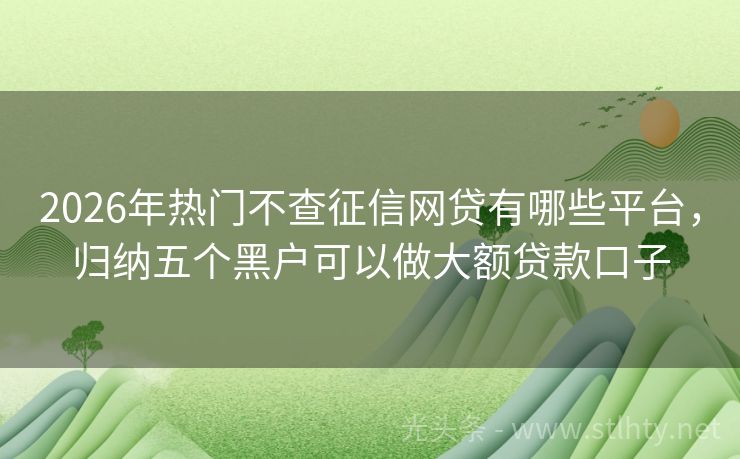 2026年热门不查征信网贷有哪些平台，归纳五个黑户可以做大额贷款口子
