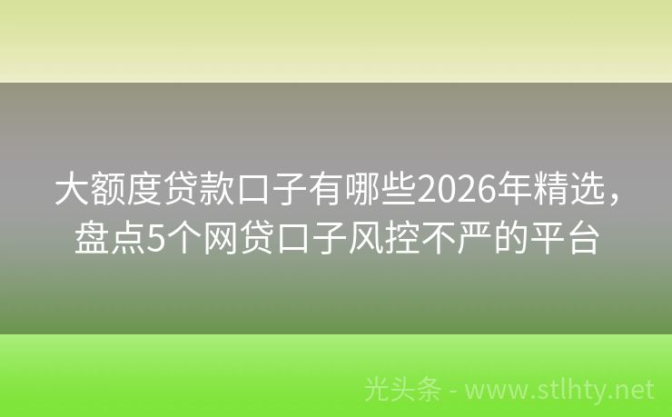 大额度贷款口子有哪些2026年精选，盘点5个网贷口子风控不严的平台