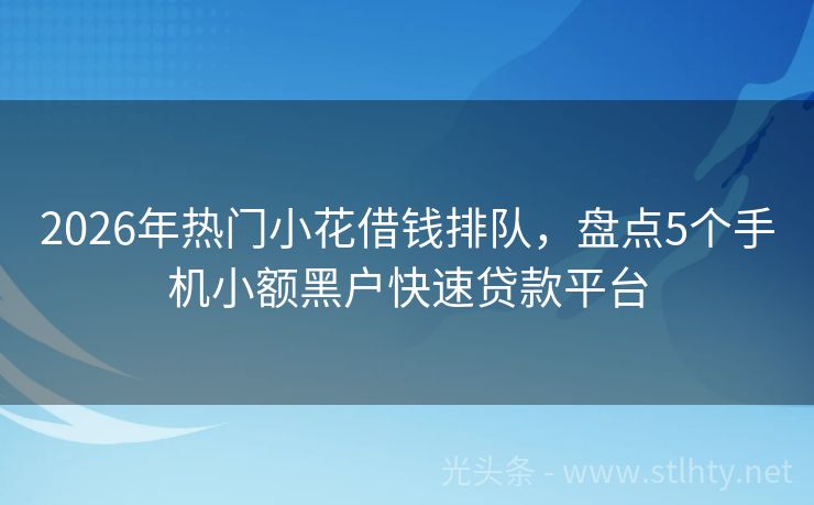 2026年热门小花借钱排队，盘点5个手机小额黑户快速贷款平台