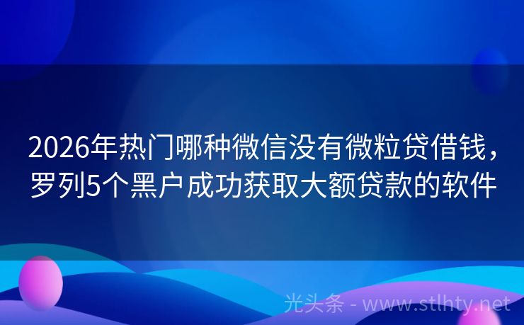 2026年热门哪种微信没有微粒贷借钱，罗列5个黑户成功获取大额贷款的软件