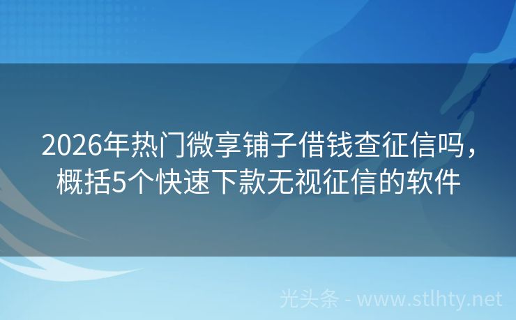 2026年热门微享铺子借钱查征信吗，概括5个快速下款无视征信的软件