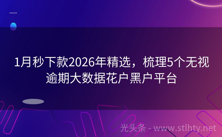 1月秒下款2026年精选，梳理5个无视逾期大数据花户黑户平台