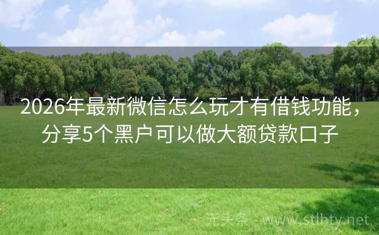 2026年最新微信怎么玩才有借钱功能，分享5个黑户可以做大额贷款口子