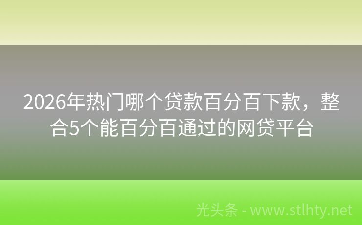 2026年热门哪个贷款百分百下款，整合5个能百分百通过的网贷平台