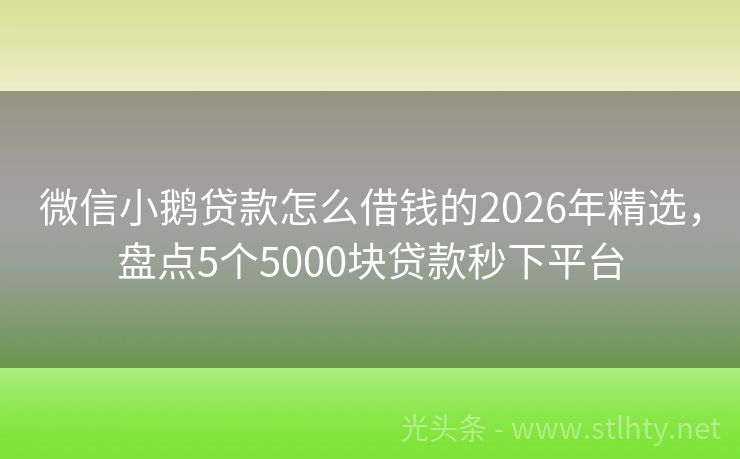 微信小鹅贷款怎么借钱的2026年精选，盘点5个5000块贷款秒下平台