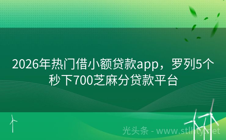 2026年热门借小额贷款app，罗列5个秒下700芝麻分贷款平台