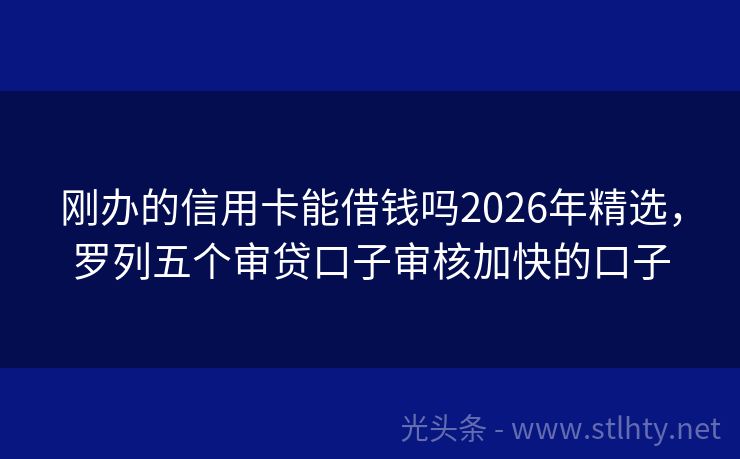 刚办的信用卡能借钱吗2026年精选，罗列五个审贷口子审核加快的口子