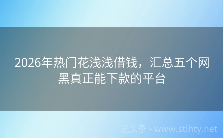 2026年热门花浅浅借钱，汇总五个网黑真正能下款的平台