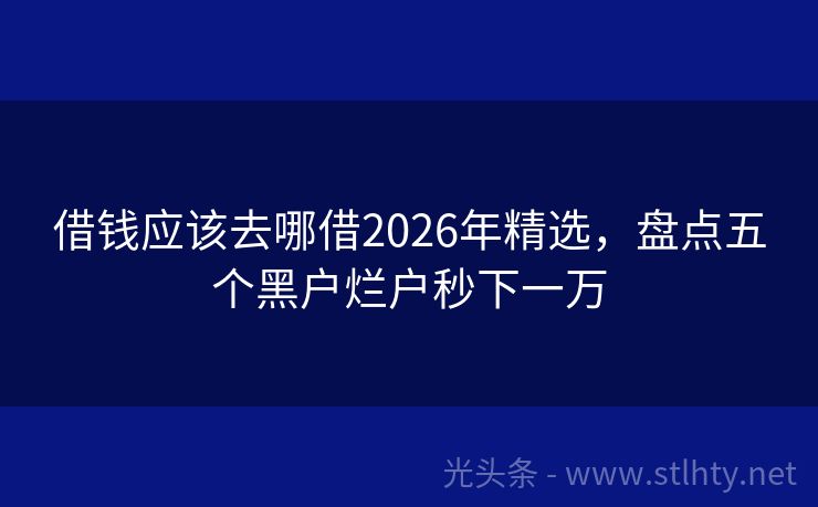借钱应该去哪借2026年精选，盘点五个黑户烂户秒下一万