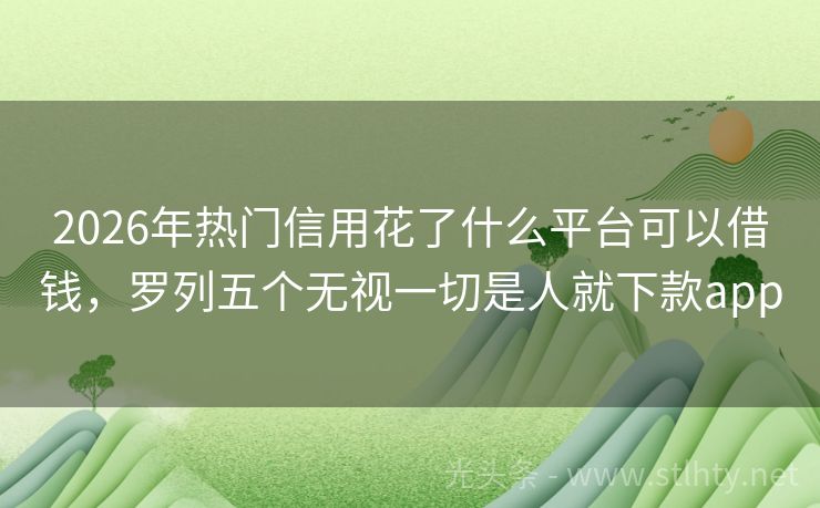 2026年热门信用花了什么平台可以借钱，罗列五个无视一切是人就下款app