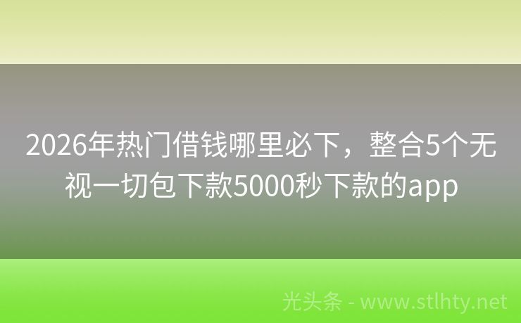 2026年热门借钱哪里必下，整合5个无视一切包下款5000秒下款的app