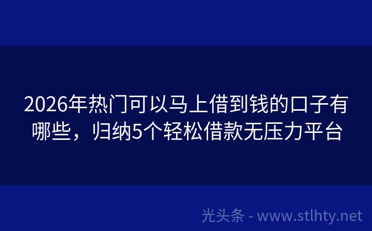 2026年热门可以马上借到钱的口子有哪些，归纳5个轻松借款无压力平台