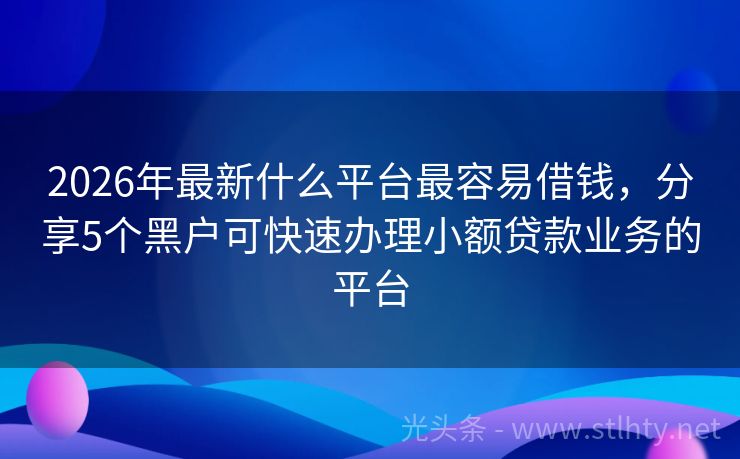2026年最新什么平台最容易借钱，分享5个黑户可快速办理小额贷款业务的平台