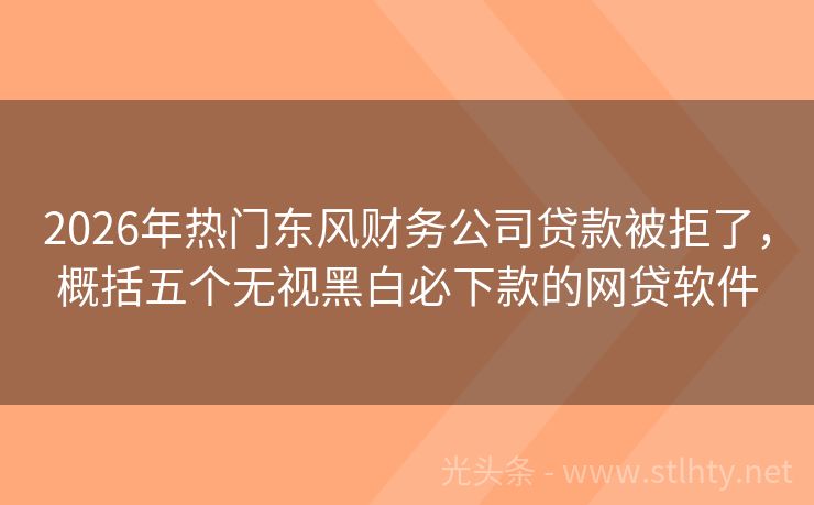 2026年热门东风财务公司贷款被拒了，概括五个无视黑白必下款的网贷软件