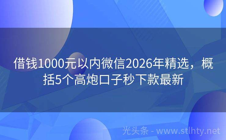 借钱1000元以内微信2026年精选，概括5个高炮口子秒下款最新