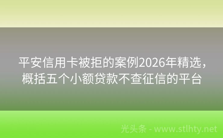 平安信用卡被拒的案例2026年精选，概括五个小额贷款不查征信的平台
