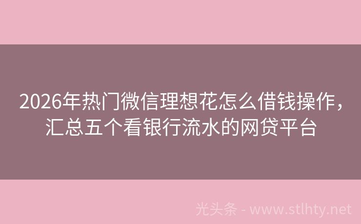 2026年热门微信理想花怎么借钱操作，汇总五个看银行流水的网贷平台