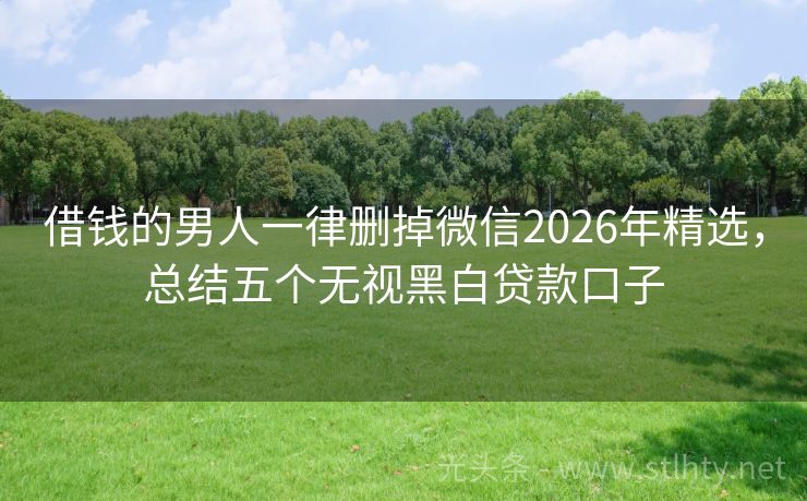借钱的男人一律删掉微信2026年精选，总结五个无视黑白贷款口子
