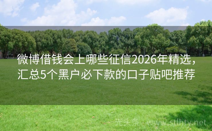 微博借钱会上哪些征信2026年精选，汇总5个黑户必下款的口子贴吧推荐