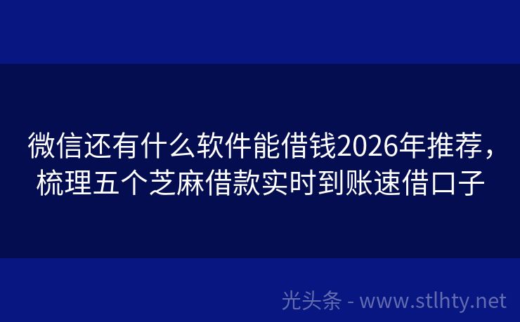 微信还有什么软件能借钱2026年推荐，梳理五个芝麻借款实时到账速借口子