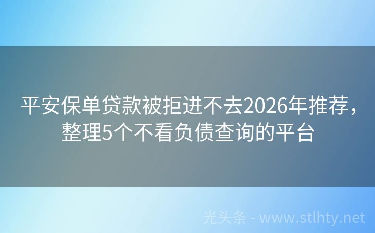 平安保单贷款被拒进不去2026年推荐，整理5个不看负债查询的平台