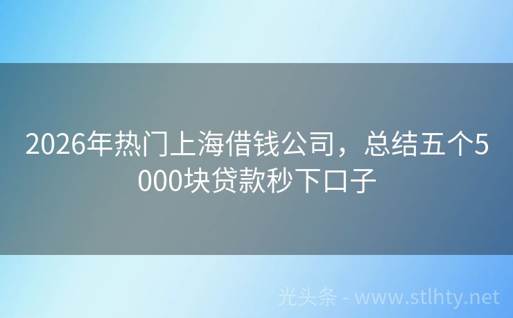 2026年热门上海借钱公司，总结五个5000块贷款秒下口子