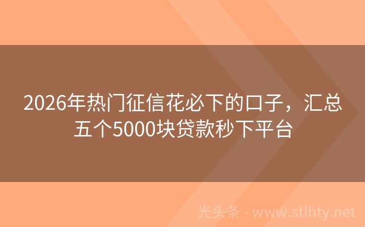 2026年热门征信花必下的口子，汇总五个5000块贷款秒下平台