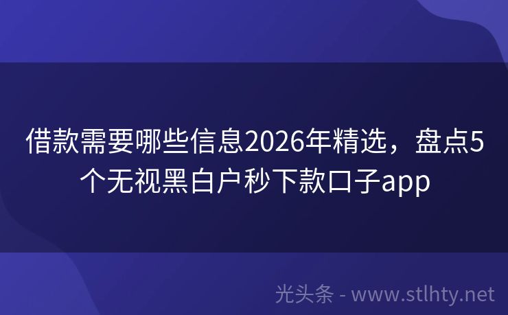 借款需要哪些信息2026年精选，盘点5个无视黑白户秒下款口子app