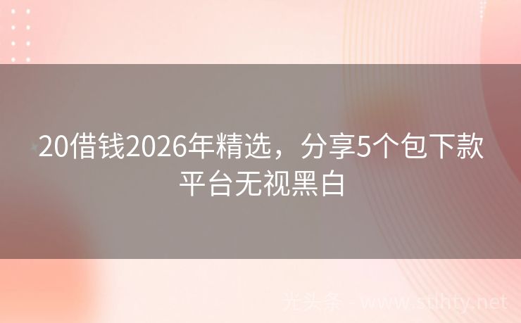 20借钱2026年精选，分享5个包下款平台无视黑白