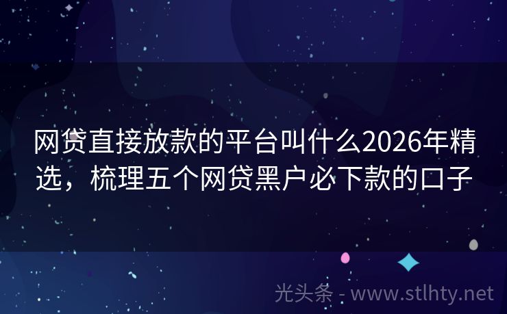 网贷直接放款的平台叫什么2026年精选，梳理五个网贷黑户必下款的口子