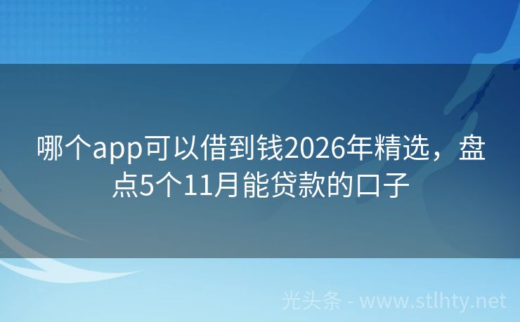 哪个app可以借到钱2026年精选，盘点5个11月能贷款的口子