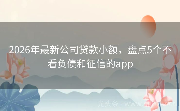 2026年最新公司贷款小额，盘点5个不看负债和征信的app